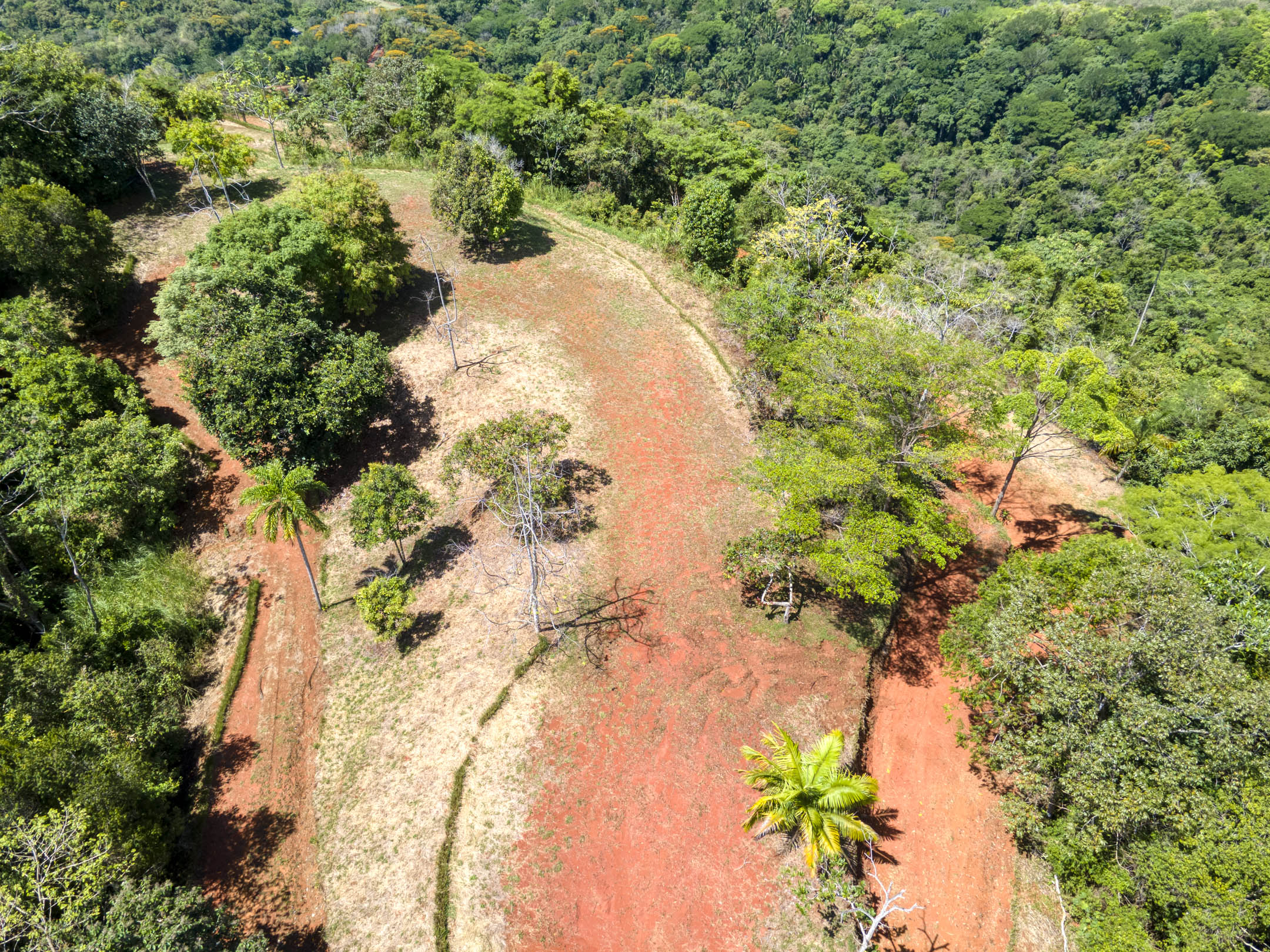 0 bed Land For Sale in Dominical, Puntarenas - thumb 19