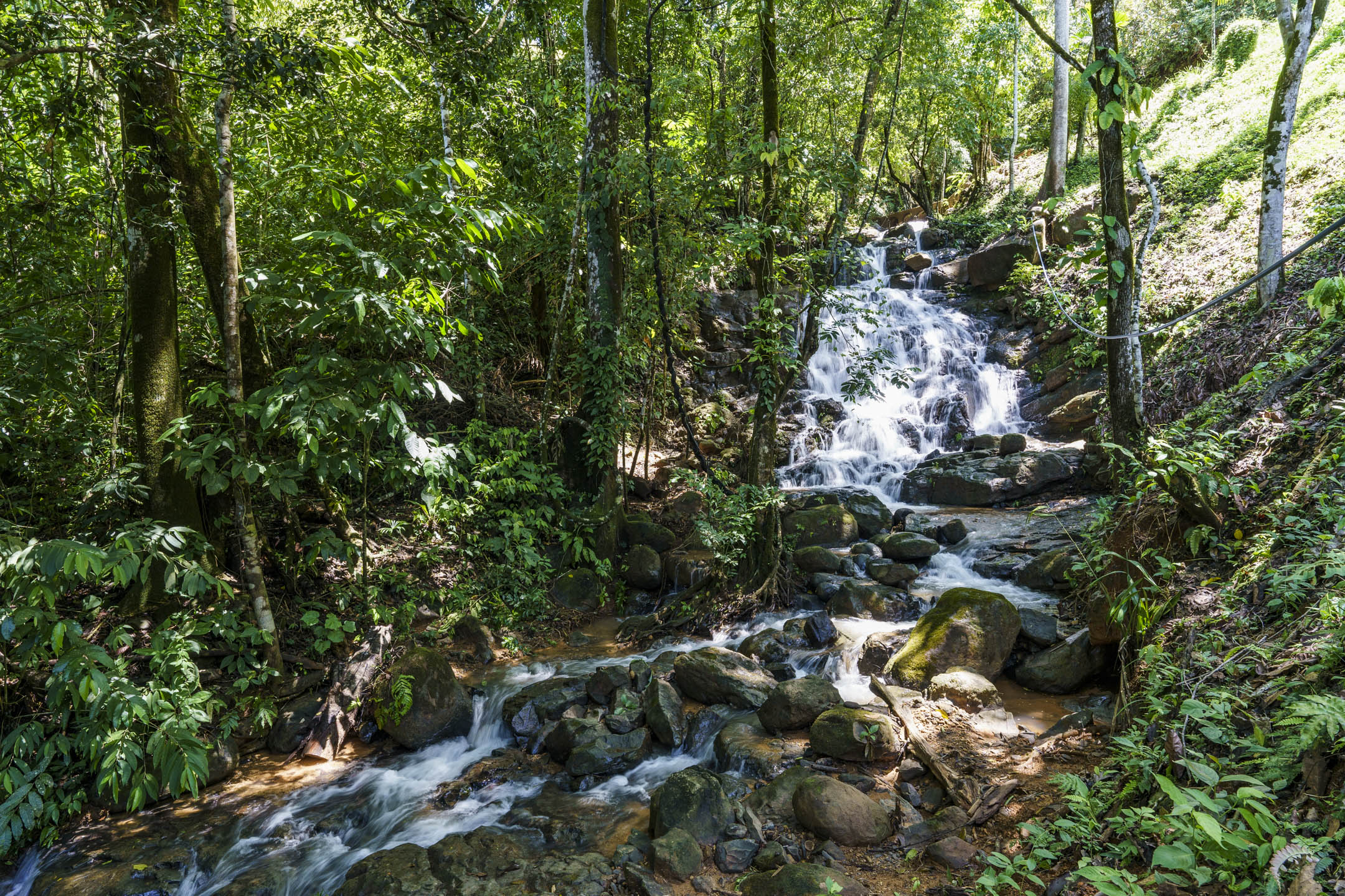 0 bed Land For Sale in Dominical, Puntarenas - thumb 29