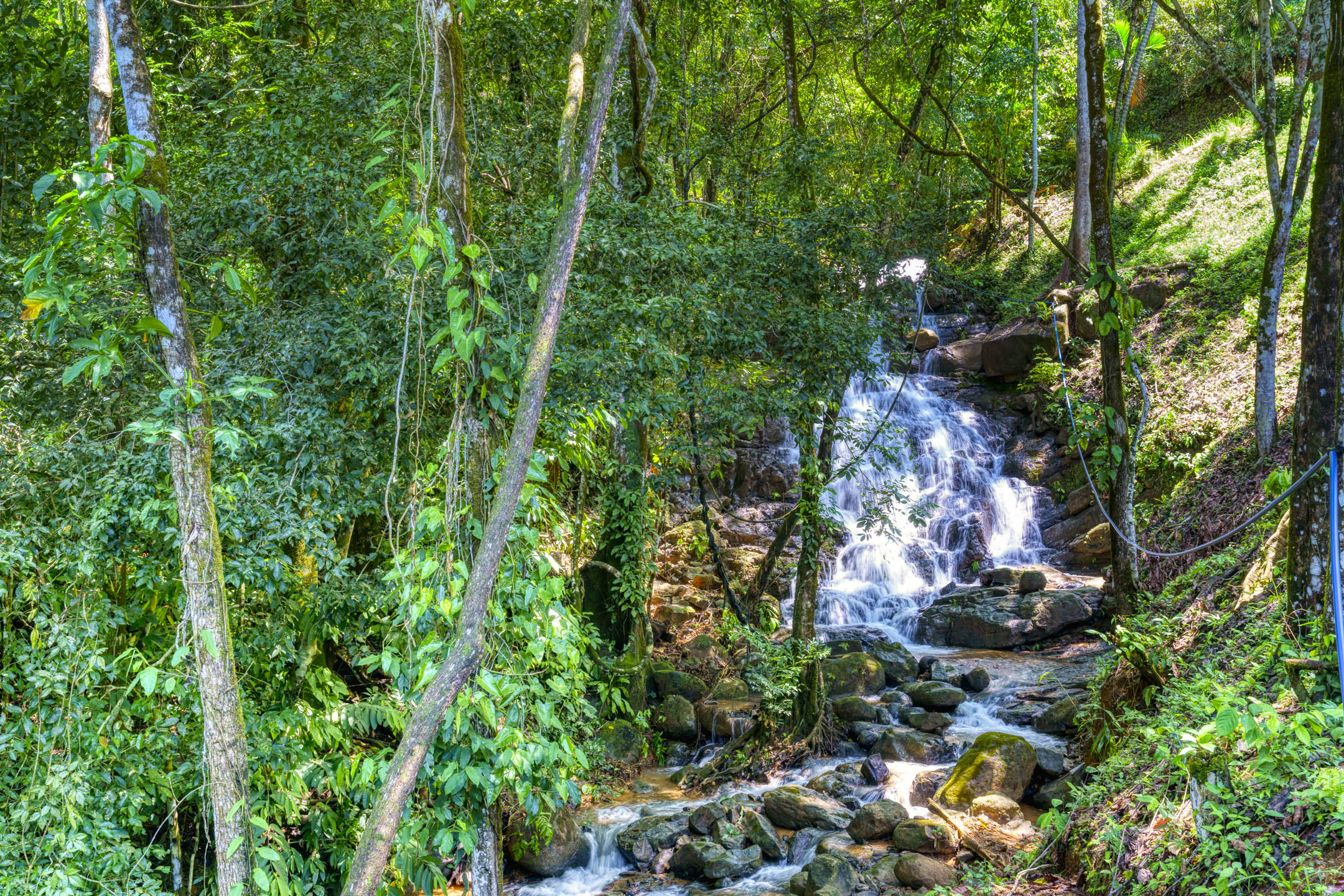 0 bed Land For Sale in Dominical, Puntarenas - thumb 7