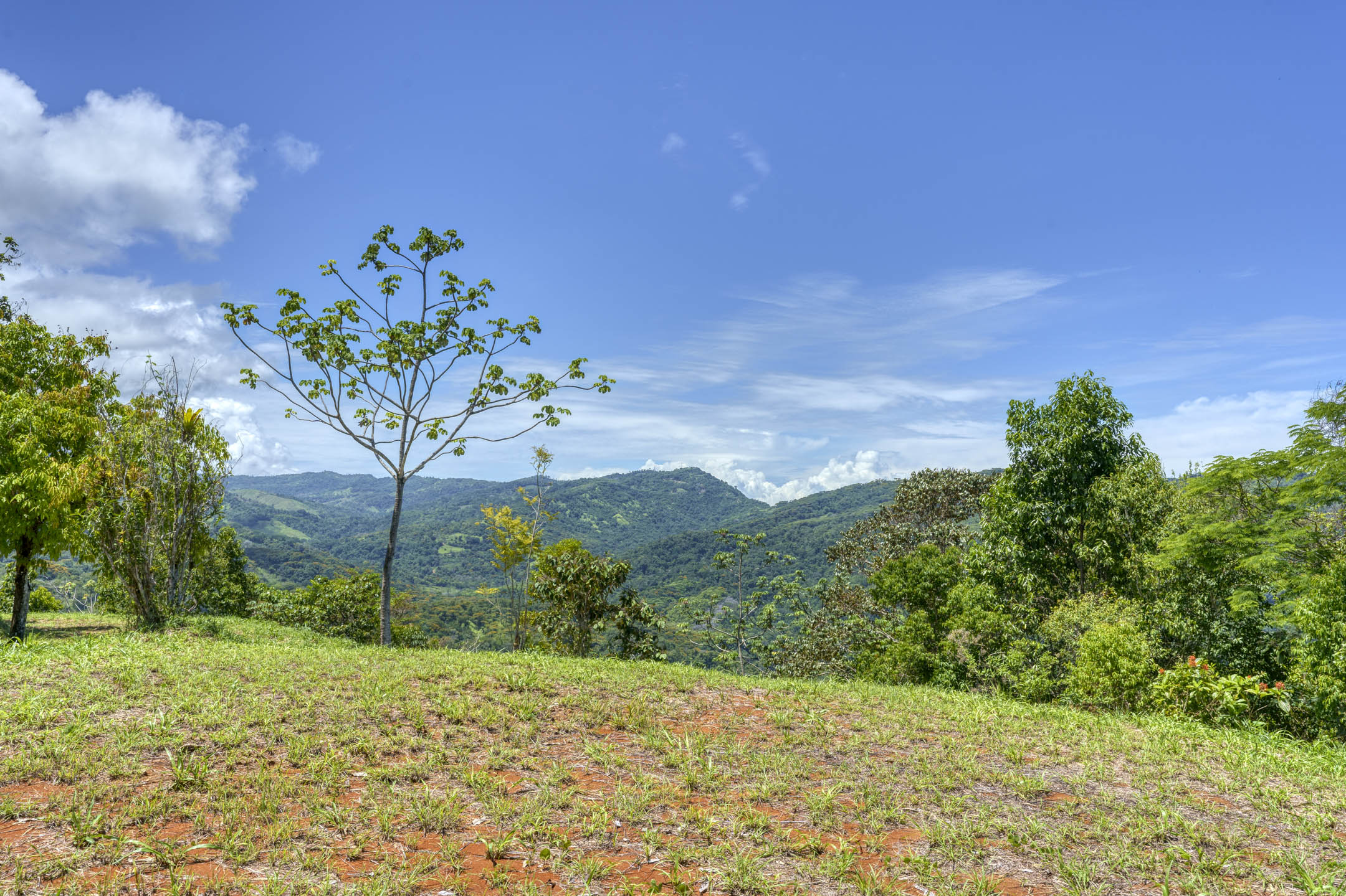 0 bed Land For Sale in Dominical, Puntarenas - thumb 13