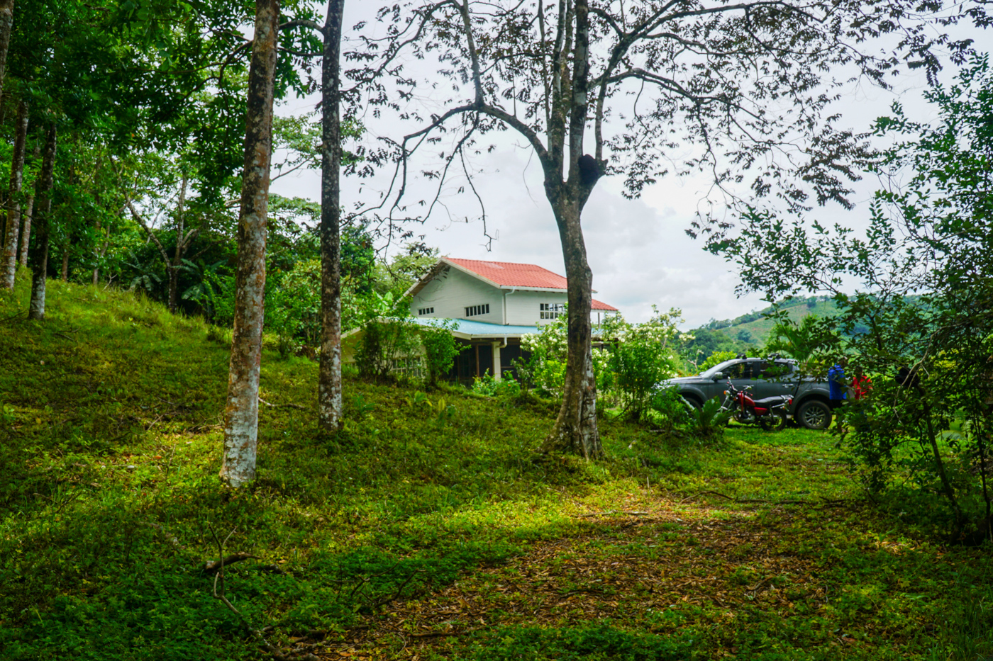 3 bed Single Family Homes For Sale in Ciudad Cortes, Puntarenas - thumb 22