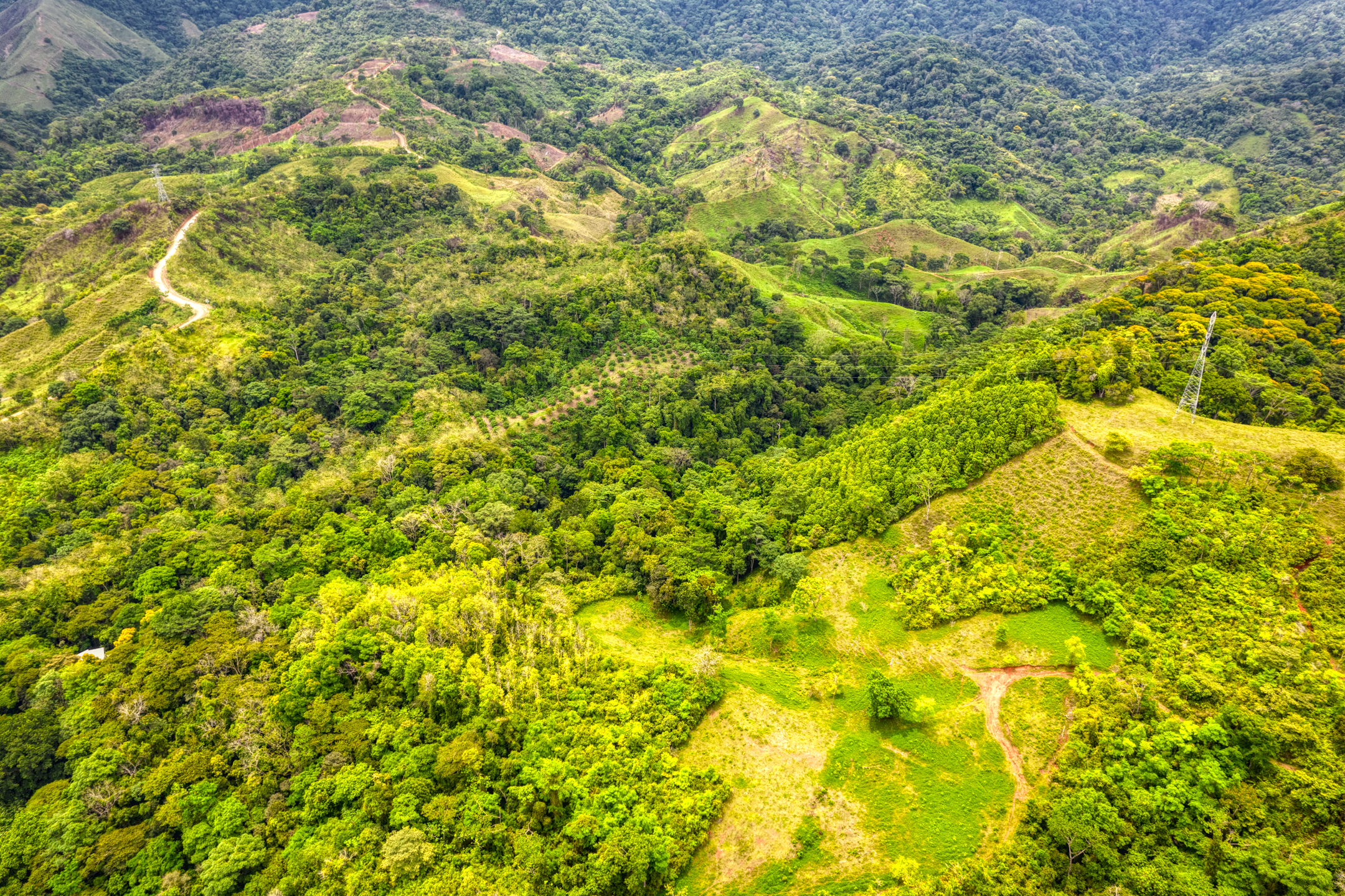 3 bed Single Family Homes For Sale in Ciudad Cortes, Puntarenas - thumb 6