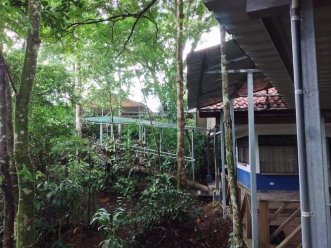 5 bed Hotel / Leisure For Sale in Sarapiqui, Heredia - thumb 5