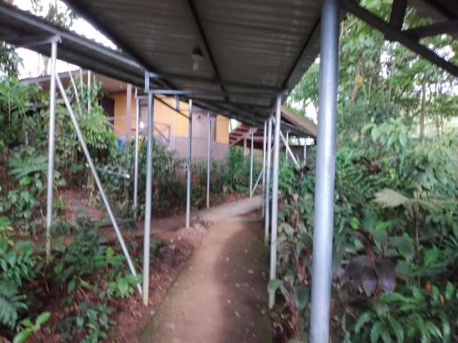 5 bed Hotel / Leisure For Sale in Sarapiqui, Heredia - thumb 12