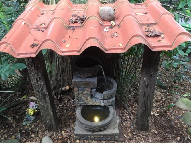 5 bed Hotel / Leisure For Sale in Sarapiqui, Heredia - thumb 2