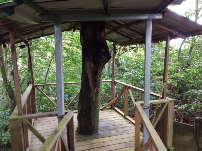 5 bed Hotel / Leisure For Sale in Sarapiqui, Heredia - thumb 4