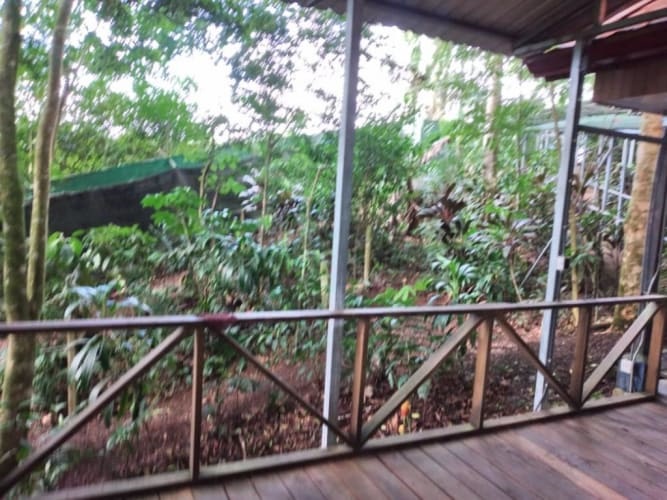 5 bed Hotel / Leisure For Sale in Sarapiqui, Heredia - thumb 18