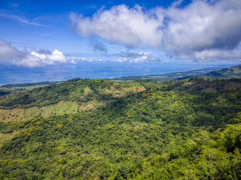 0 bed Land For Sale in Dominical, Puntarenas - 1