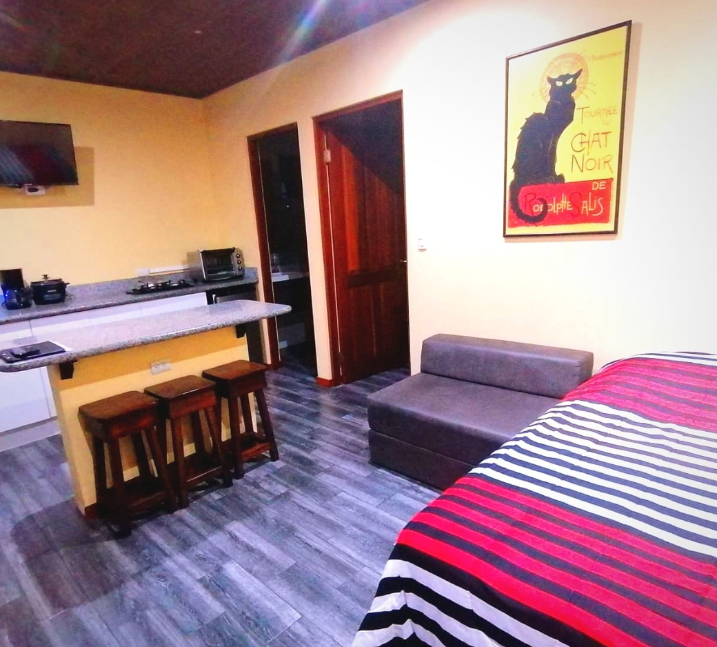 11 bed Hotel / Leisure For Sale in Lake Arenal, Guanacaste - thumb 9