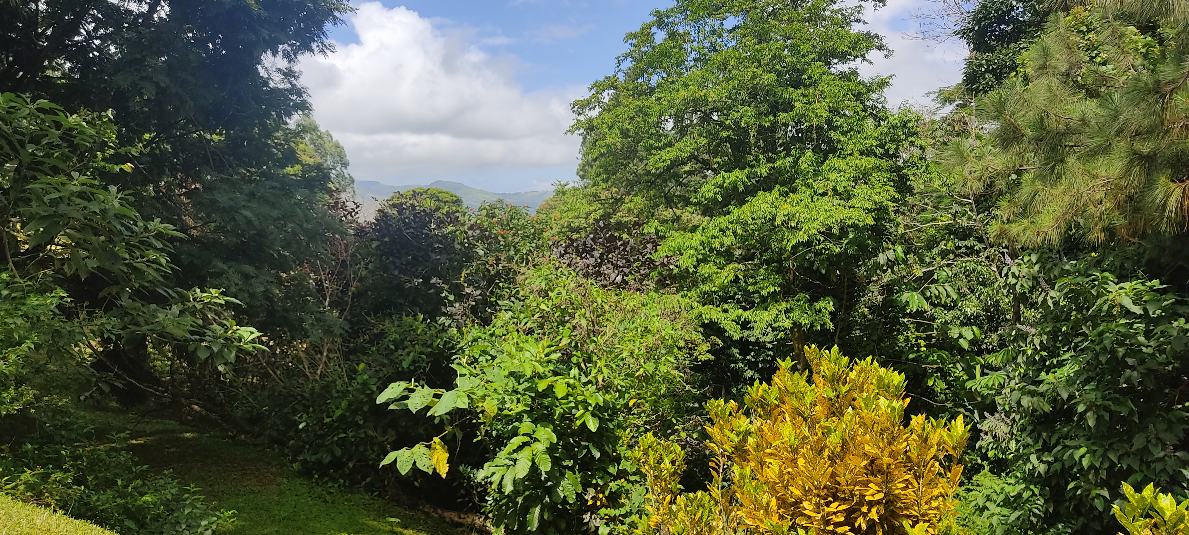 11 bed Hotel / Leisure For Sale in Lake Arenal, Guanacaste - thumb 15