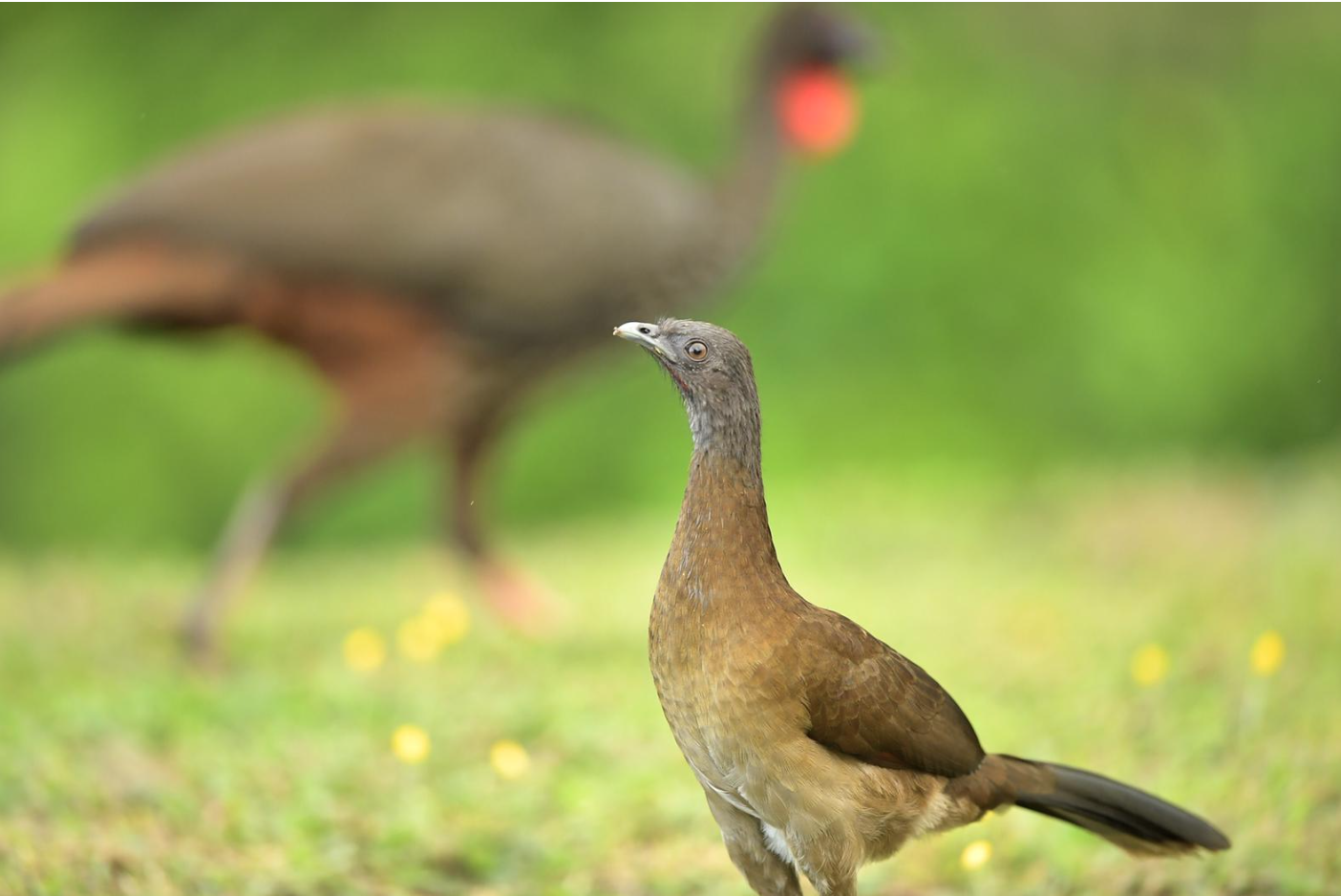 11 bed Hotel / Leisure For Sale in Lake Arenal, Guanacaste - thumb 29