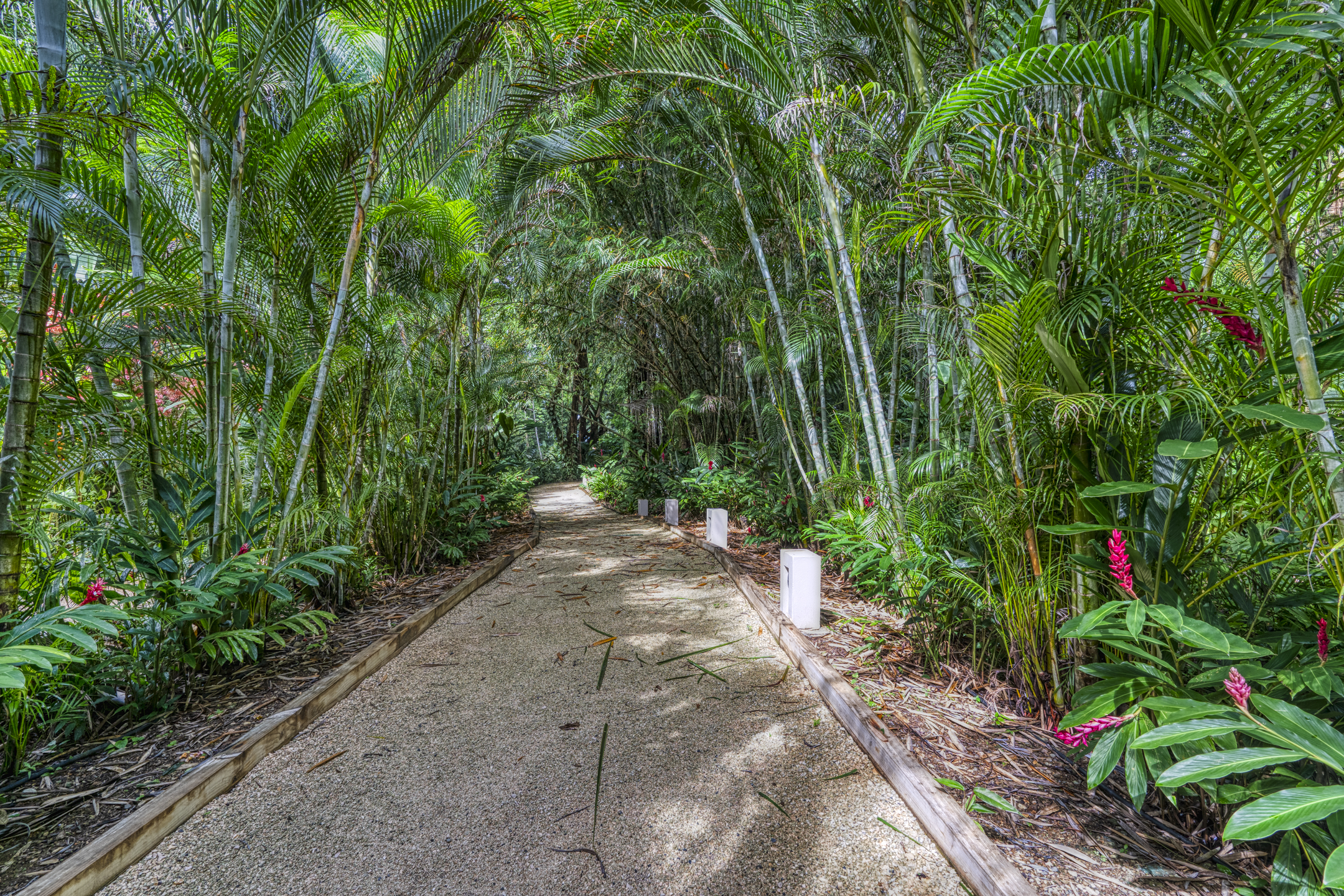 3 bed Condo For Sale in Uvita, Puntarenas - thumb 25