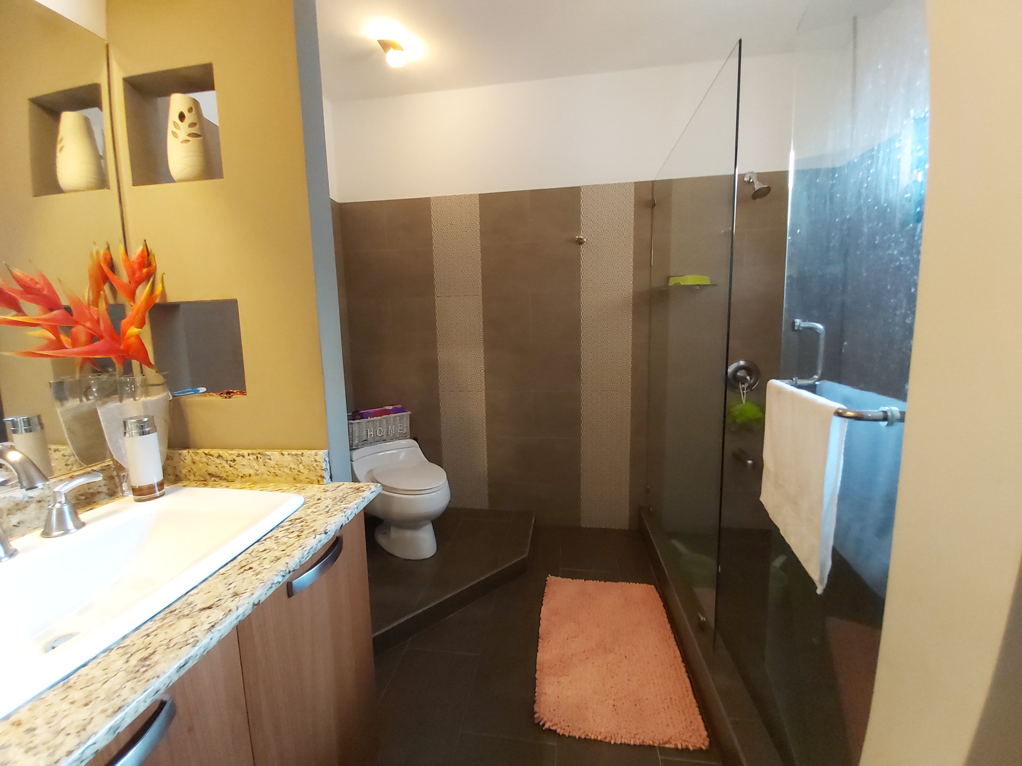 4 bed Condo For Sale in Curridabat, San Jose - thumb 9