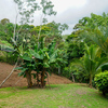  - Peaceful Mountain Living Near San Isidro - Waterfall on Property