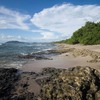  - Crystal Sands Penthouse - 4 Bedroom Oceanfront 2 Floor Luxury Property