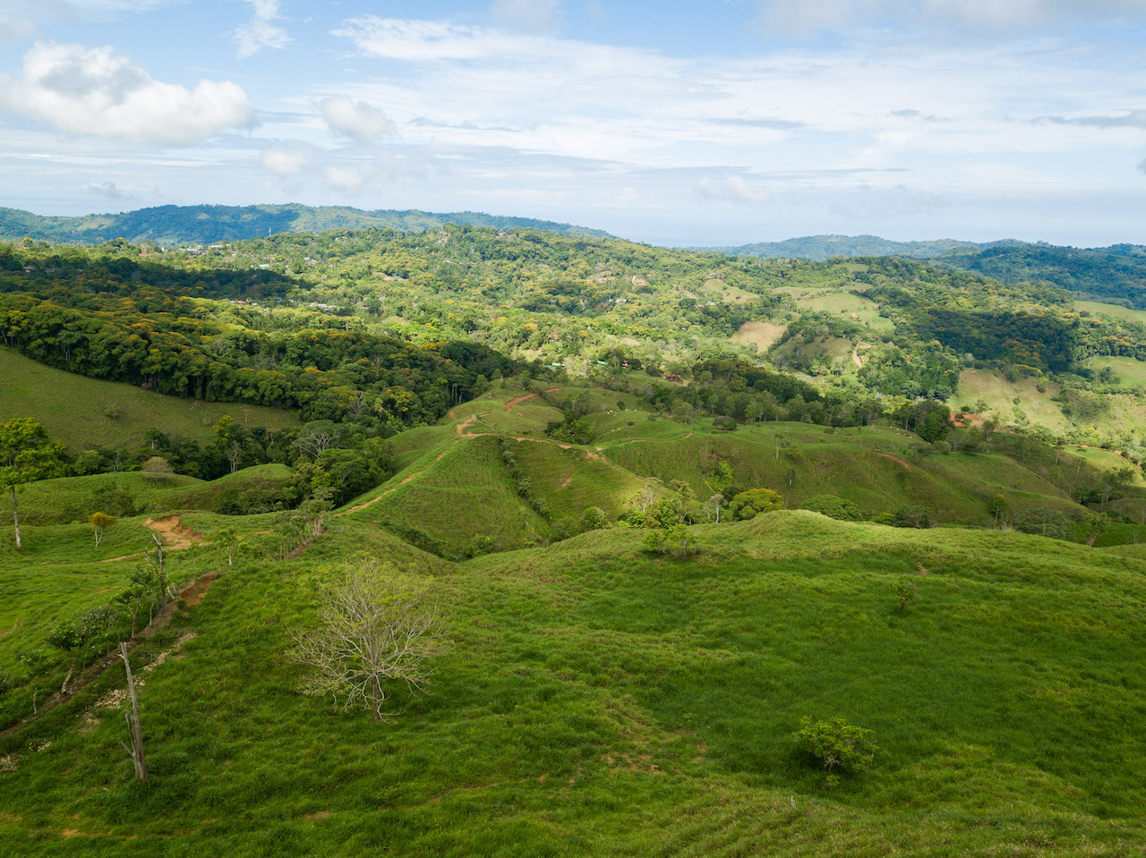 0 bed Land For Sale in Dominical, Puntarenas - thumb 5