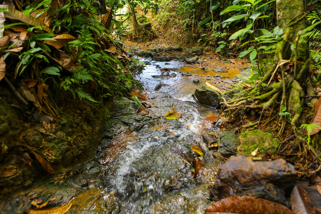 0 bed Land For Sale in Dominical, Puntarenas - thumb 10