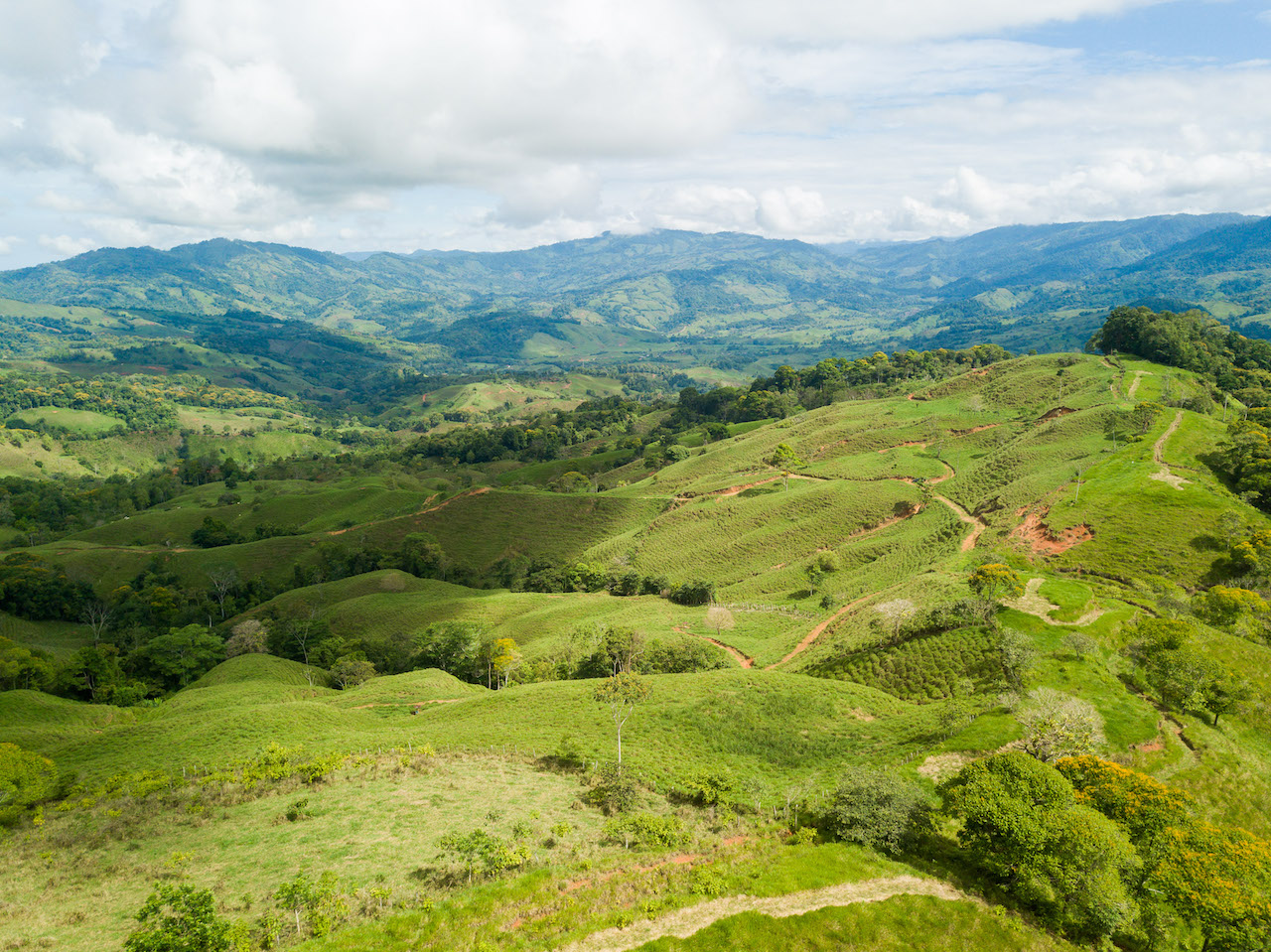 0 bed Land For Sale in Dominical, Puntarenas - thumb 1