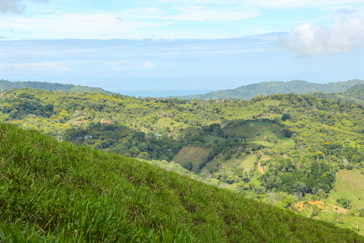 0 bed Land For Sale in Dominical, Puntarenas - thumb 9