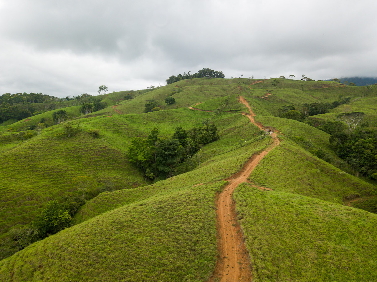 0 bed Land For Sale in Dominical, Puntarenas - thumb 6