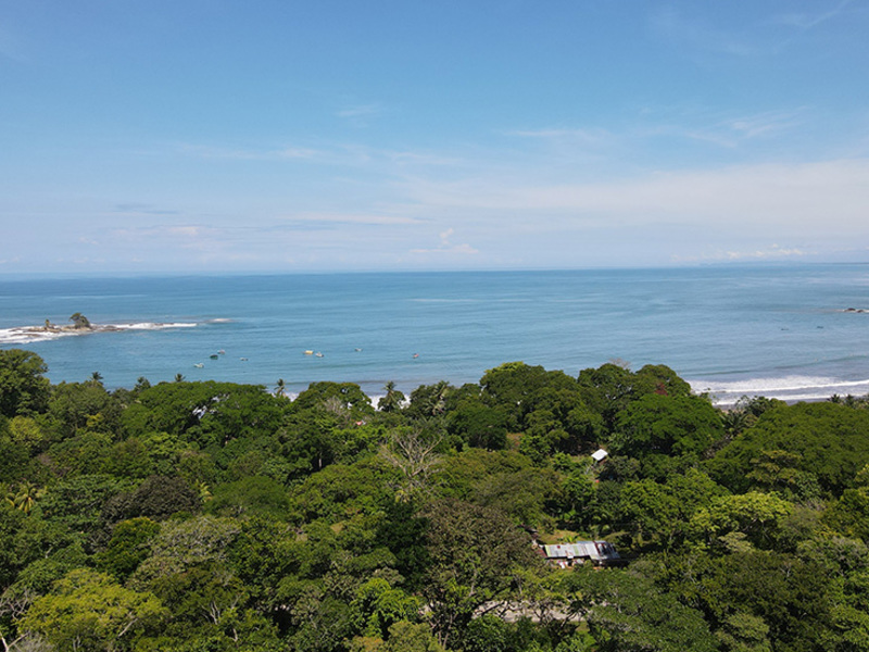 4 bed Single Family Homes For Sale in Dominical, Puntarenas - photo 5