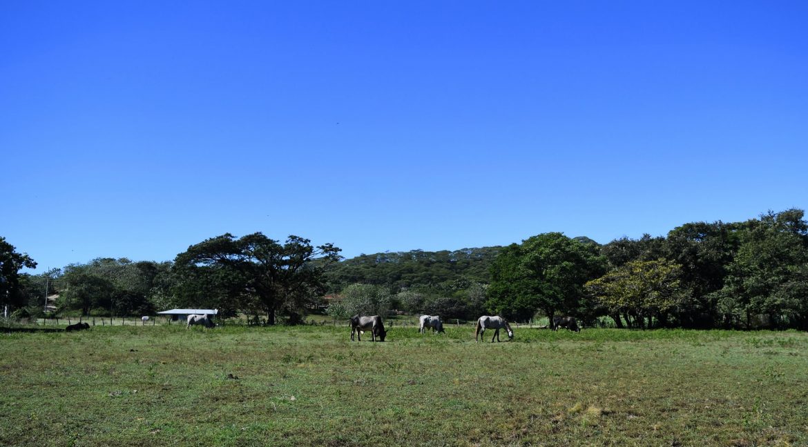 2 bed Single Family Homes For Sale in Tamarindo, Guanacaste - thumb 25