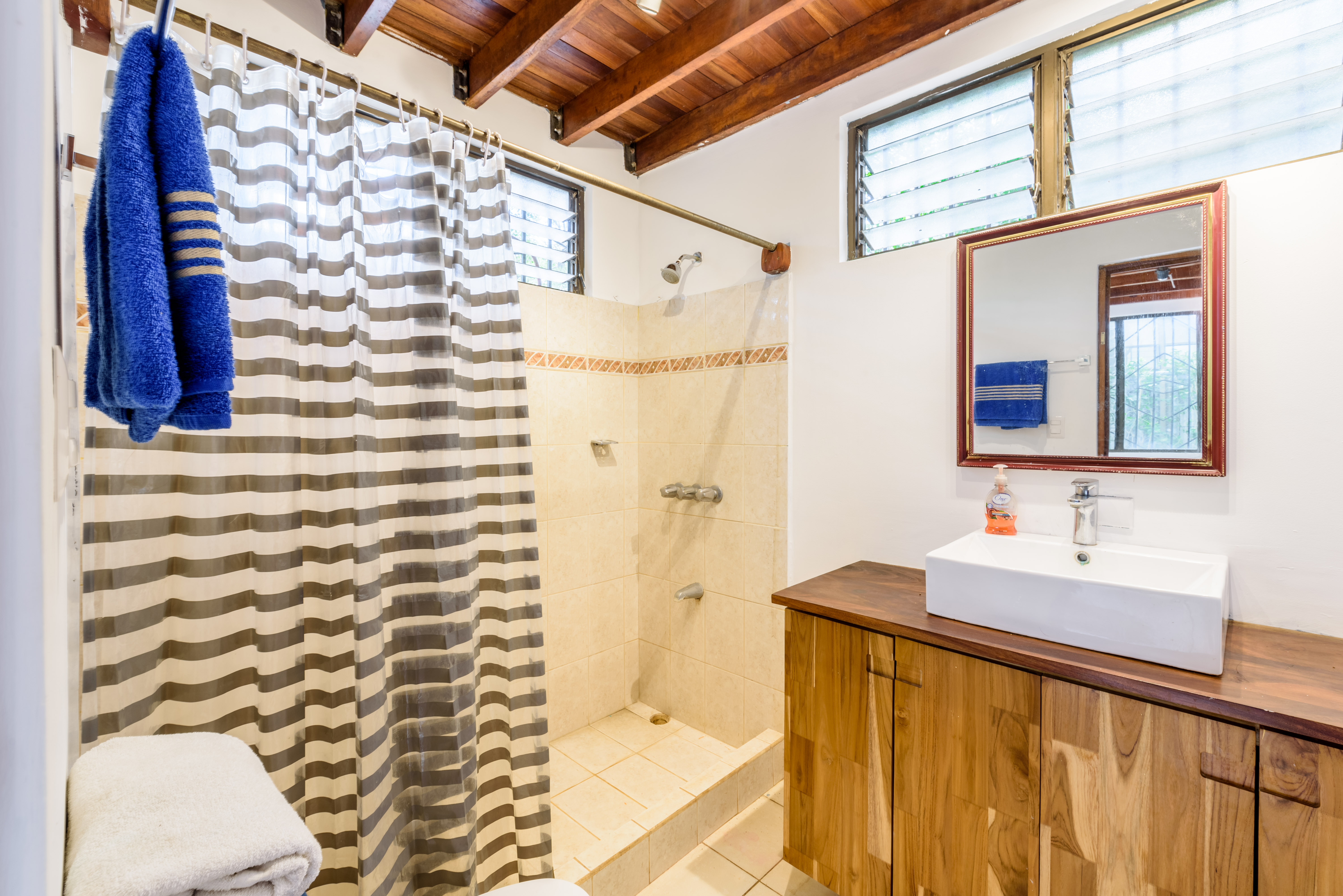 1 bed Single Family Homes For Sale in Tamarindo, Guanacaste - thumb 5