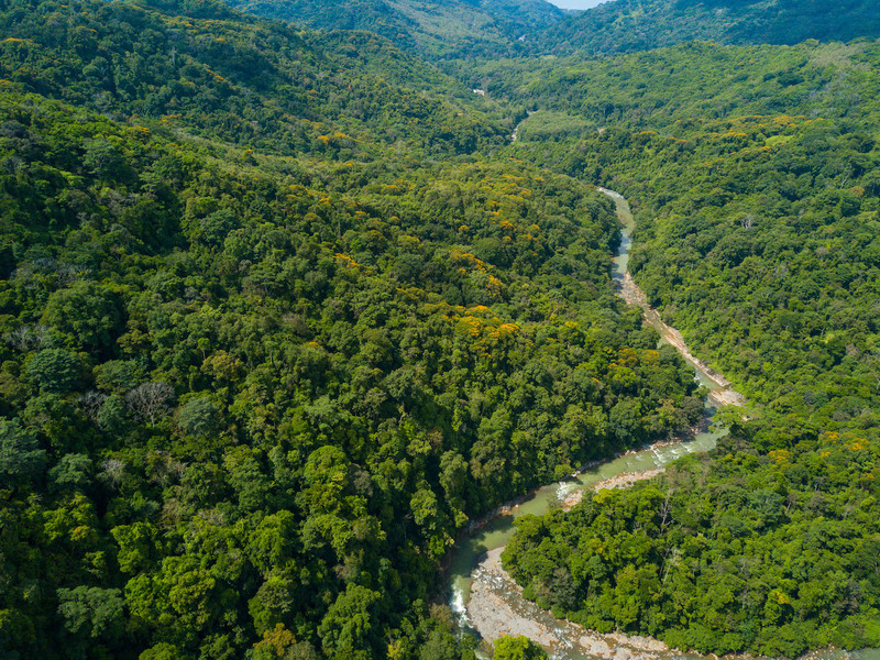 0 bed Land For Sale in Dominical, Puntarenas - 1