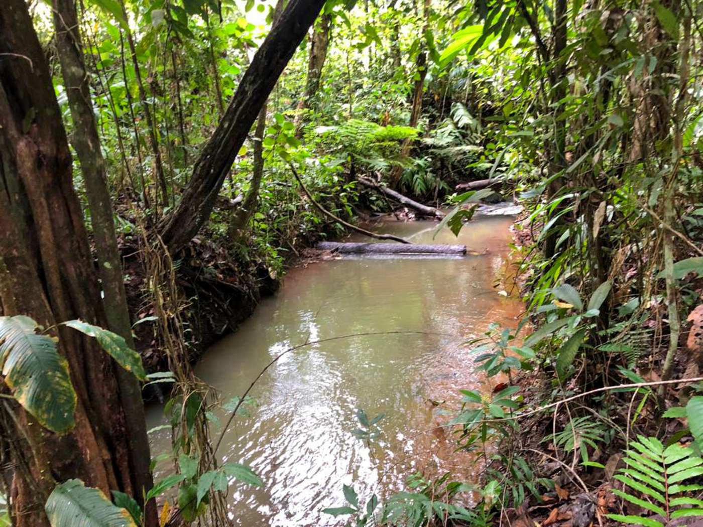 0 bed Land For Sale in Perez Zeledon, San Jose - thumb 17