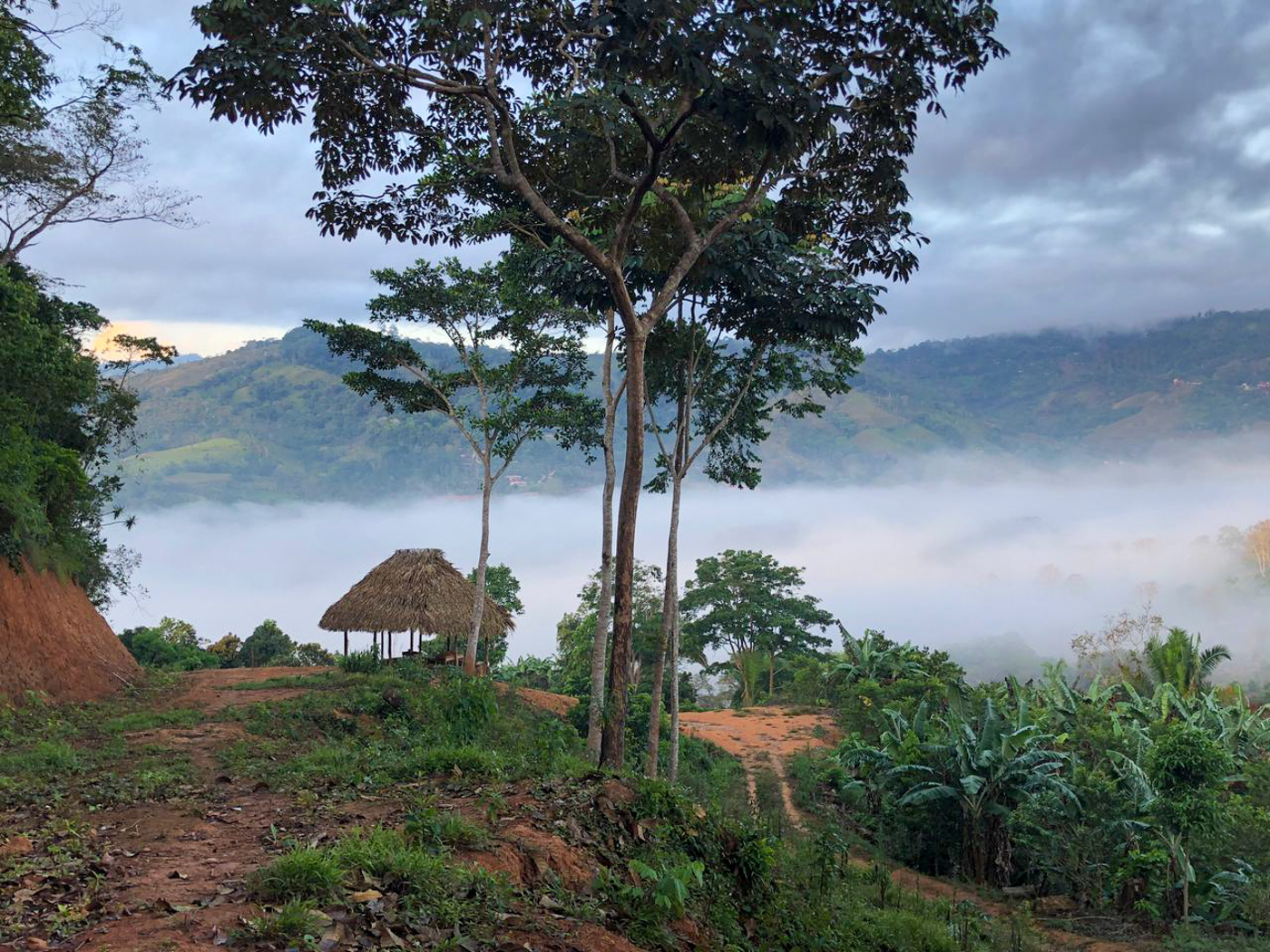 0 bed Land For Sale in Perez Zeledon, San Jose - thumb 20