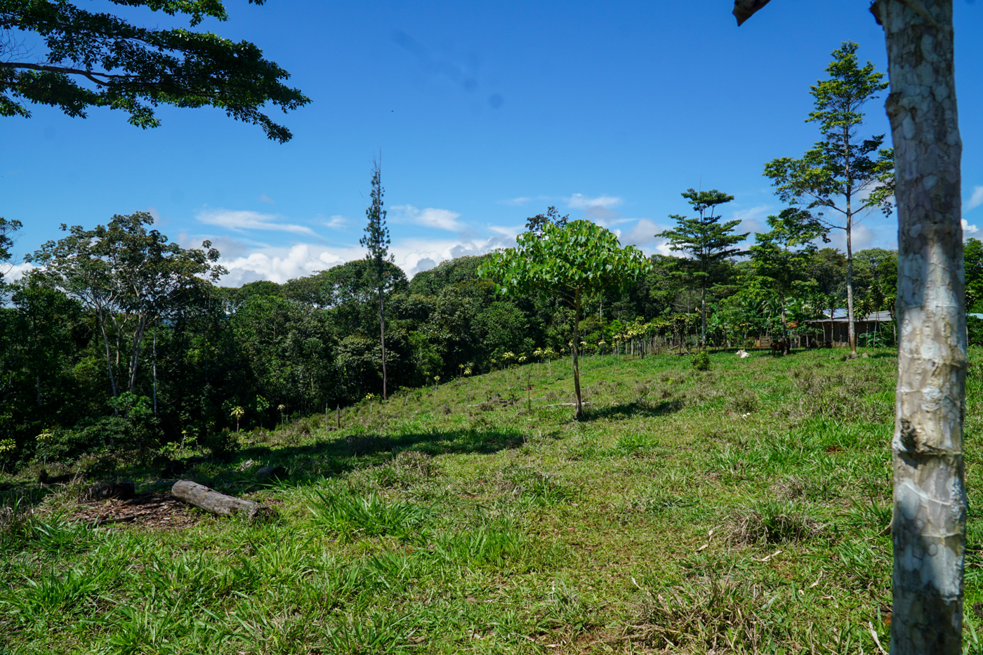 0 bed Land For Sale in Perez Zeledon, San Jose - thumb 2