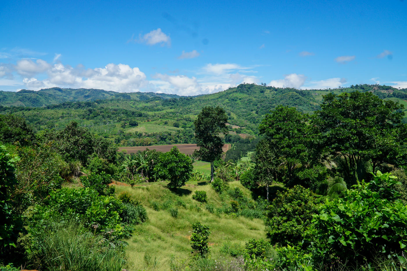 0 bed Land For Sale in Perez Zeledon, San Jose - thumb 11