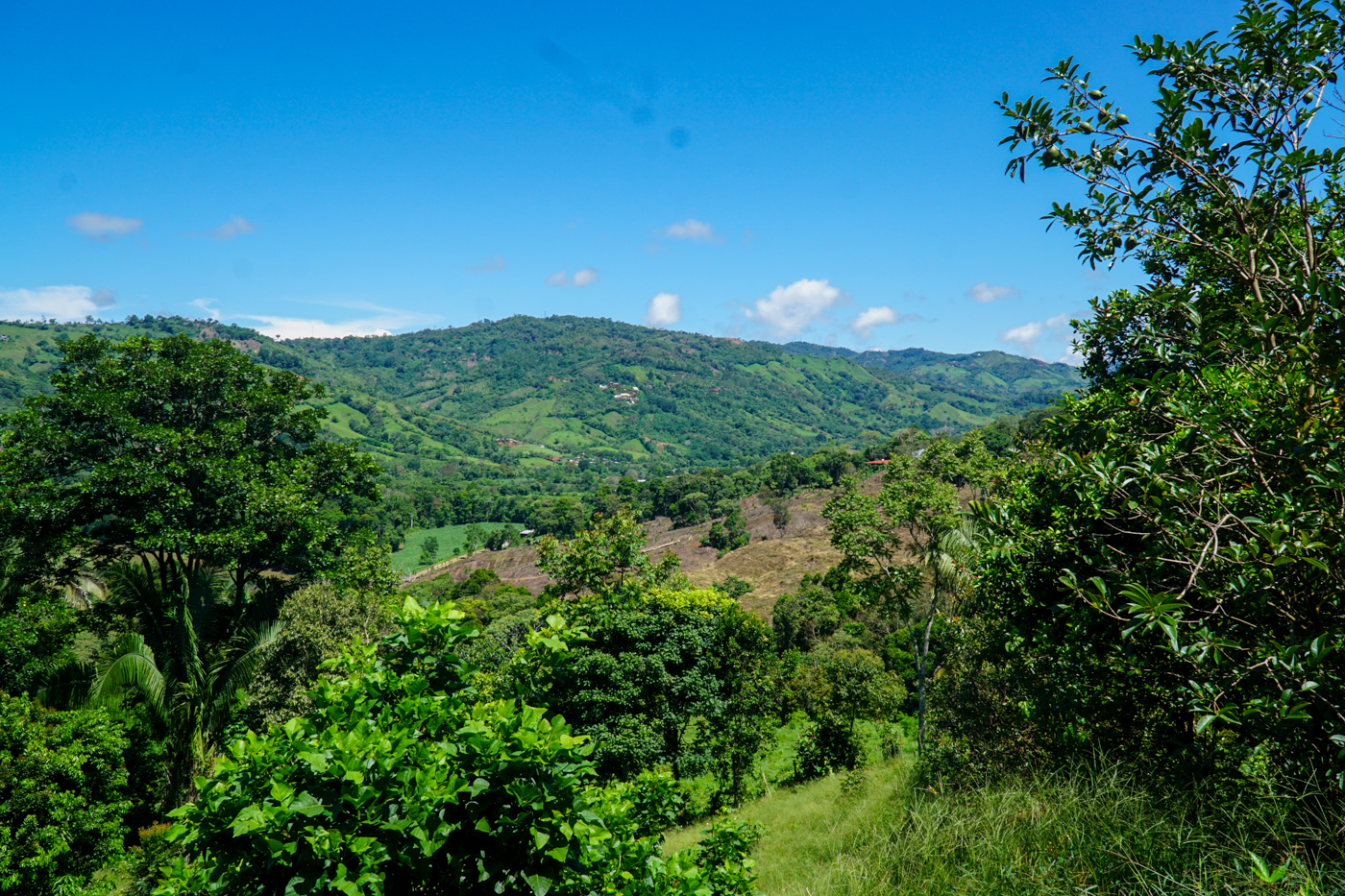 0 bed Land For Sale in Perez Zeledon, San Jose - thumb 12