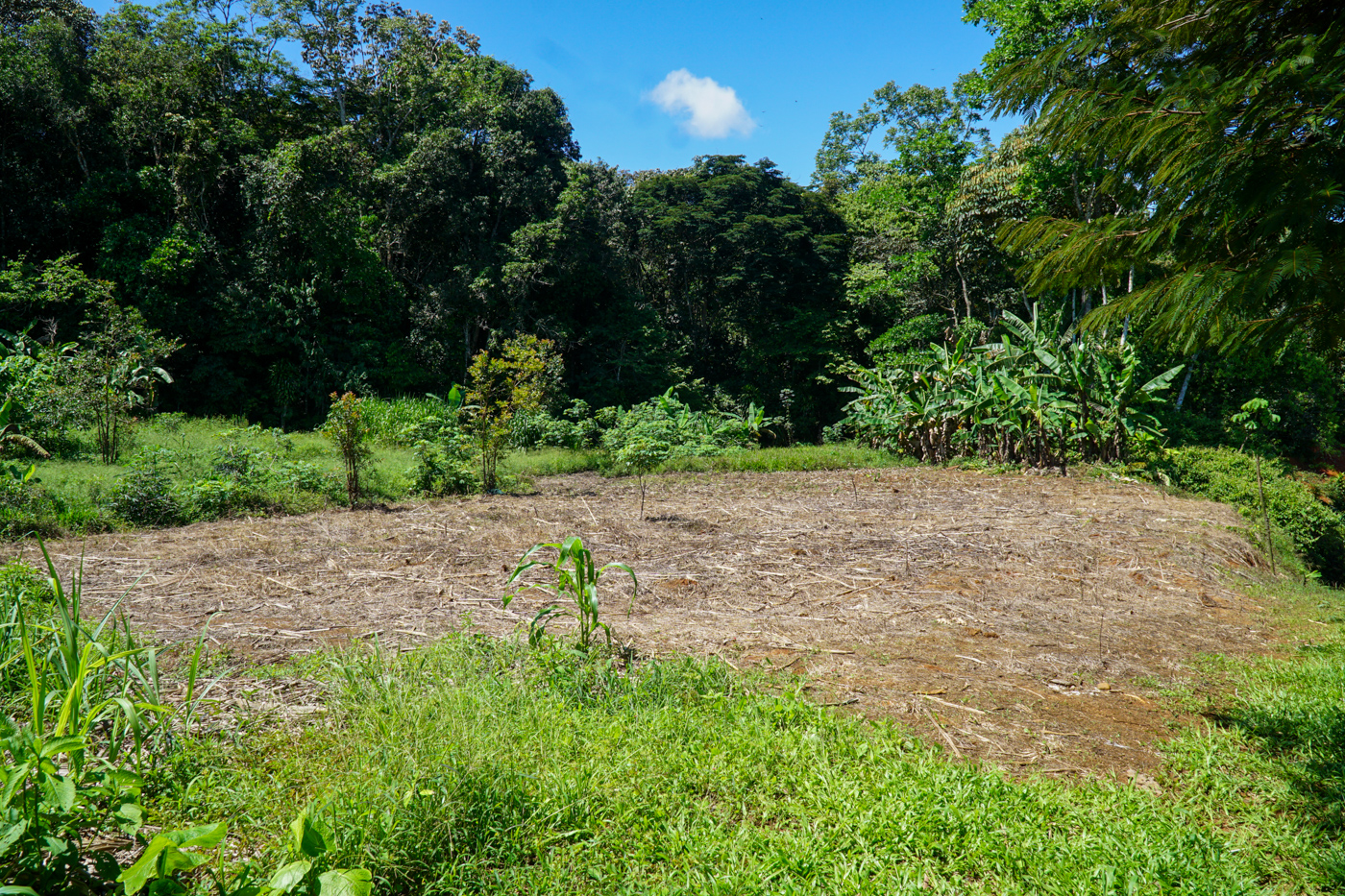 0 bed Land For Sale in Perez Zeledon, San Jose - thumb 10