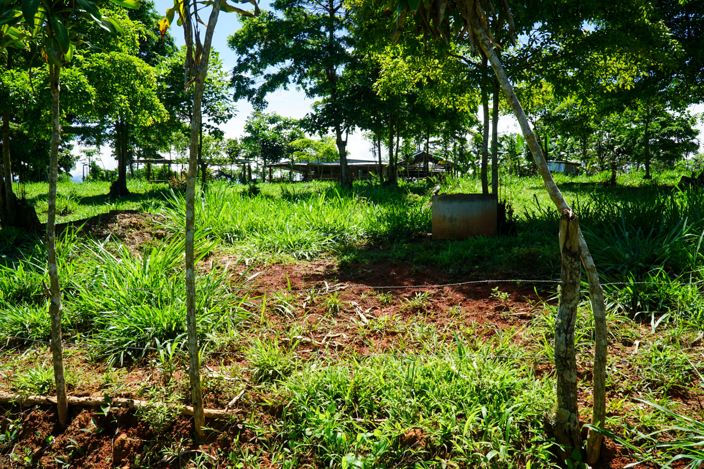 0 bed Land For Sale in Perez Zeledon, San Jose - thumb 16