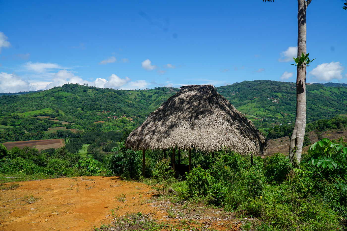 0 bed Land For Sale in Perez Zeledon, San Jose - thumb 1