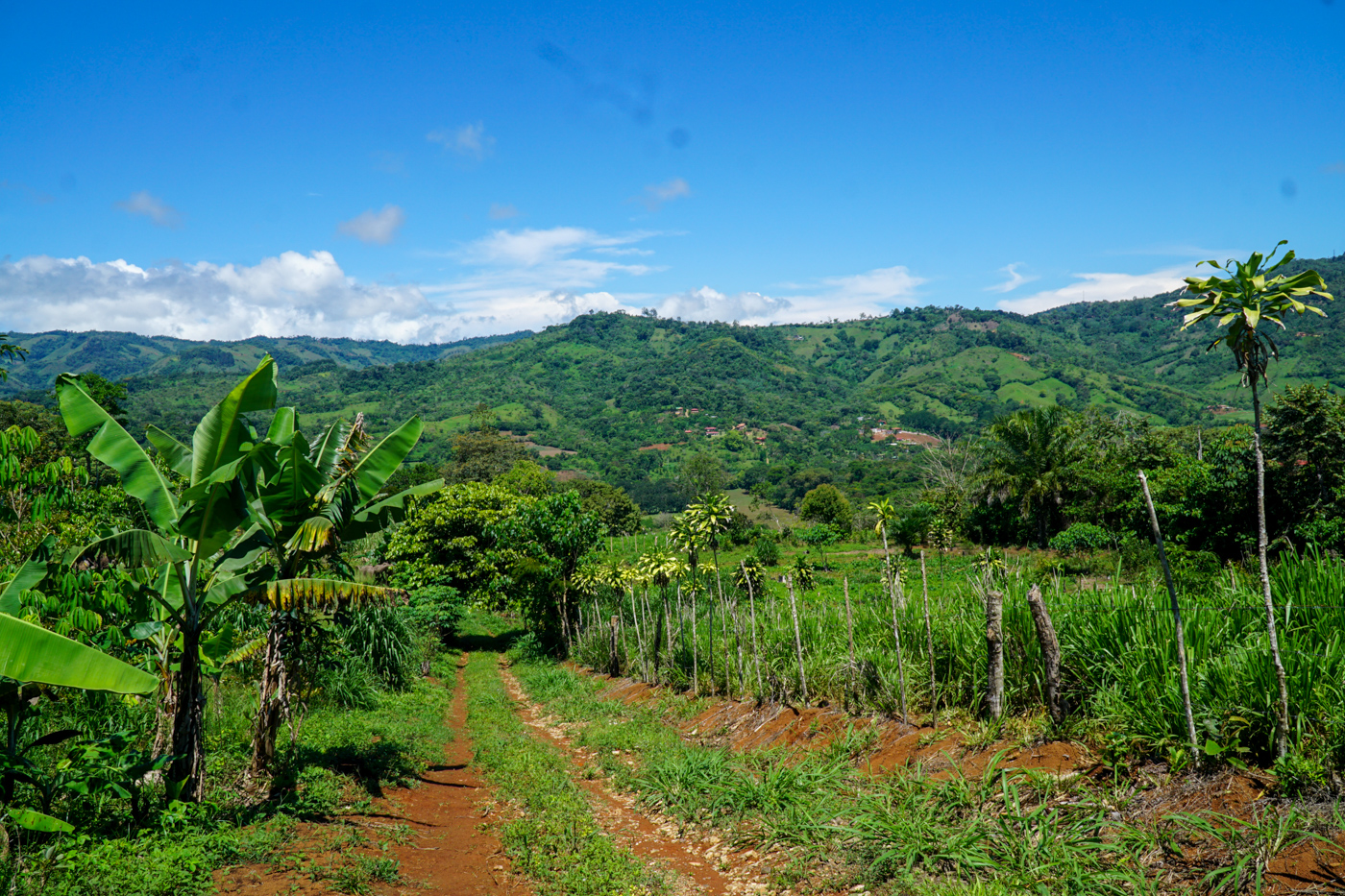 0 bed Land For Sale in Perez Zeledon, San Jose - thumb 8