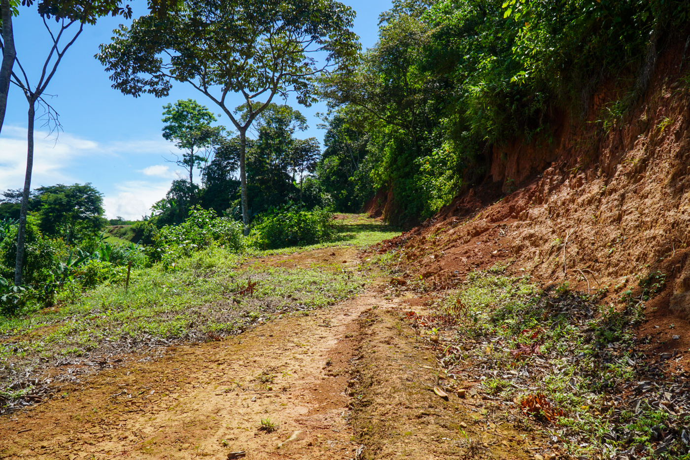 0 bed Land For Sale in Perez Zeledon, San Jose - thumb 14