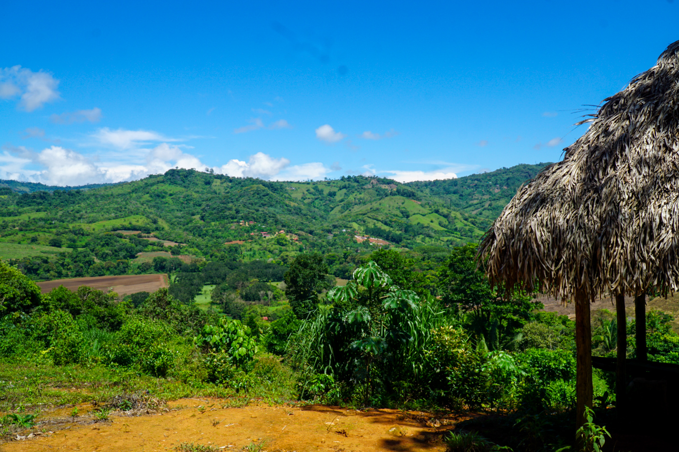 0 bed Land For Sale in Perez Zeledon, San Jose - thumb 13