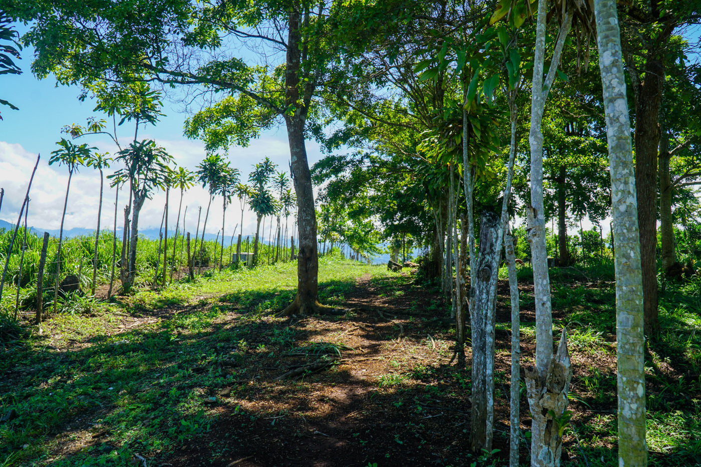 0 bed Land For Sale in Perez Zeledon, San Jose - thumb 7