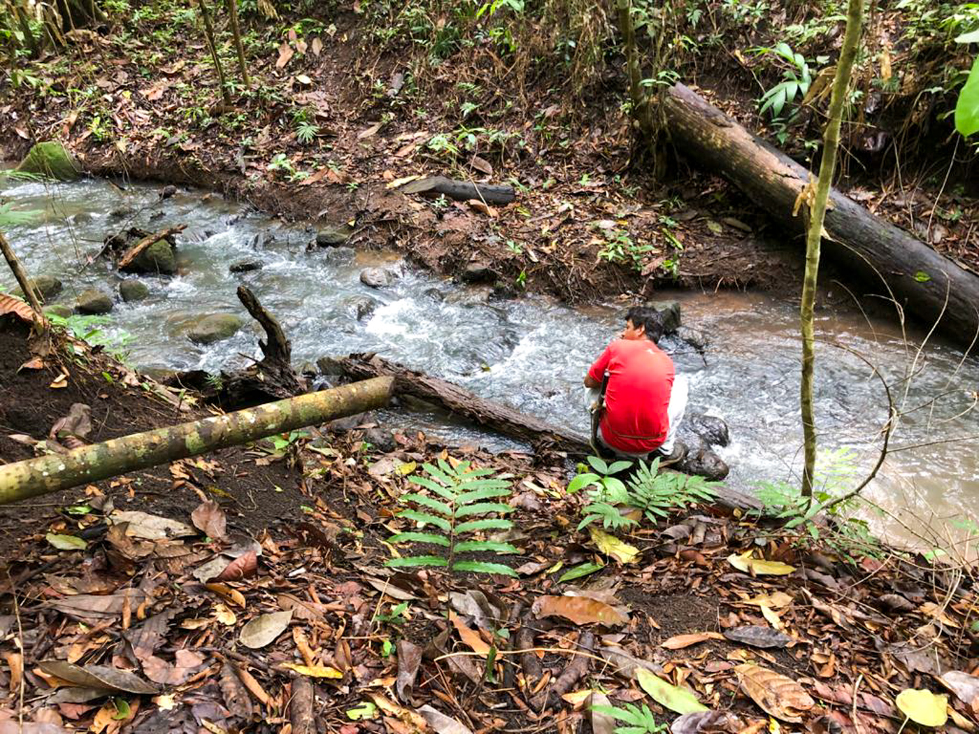 0 bed Land For Sale in Perez Zeledon, San Jose - thumb 18