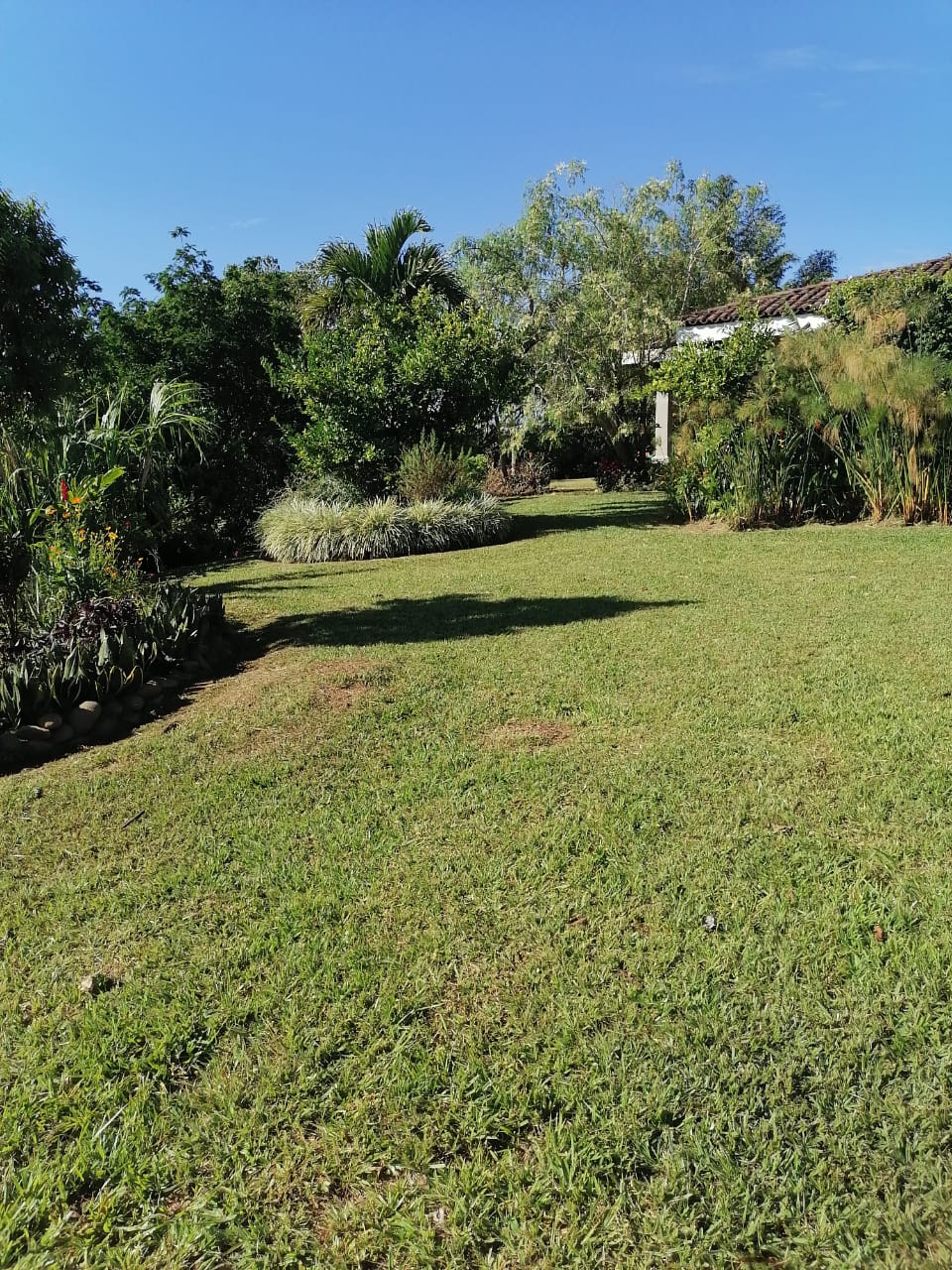 3 bed Single Family Homes For Rent in Grecia, Alajuela - thumb 10