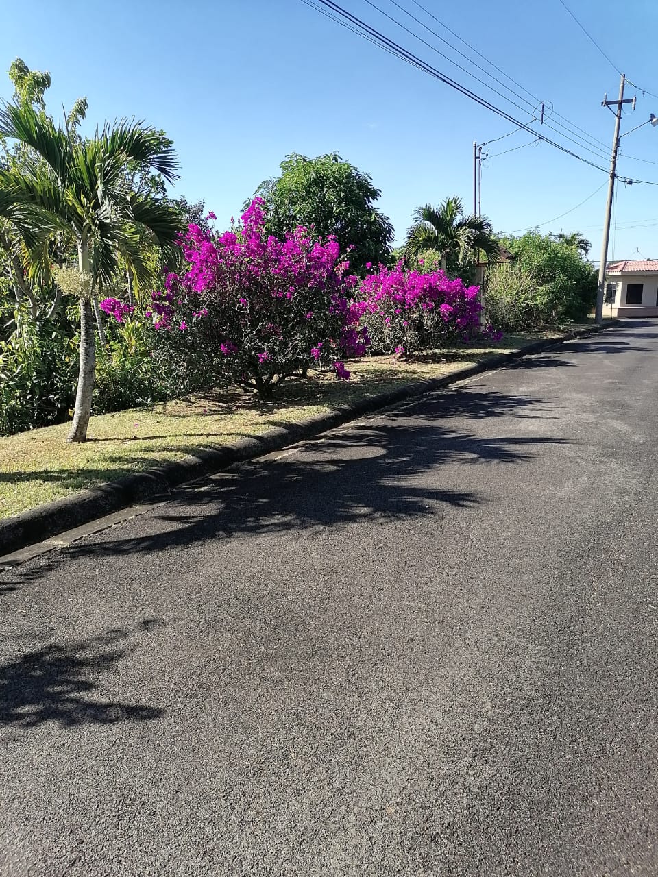 3 bed Single Family Homes For Rent in Grecia, Alajuela - thumb 12