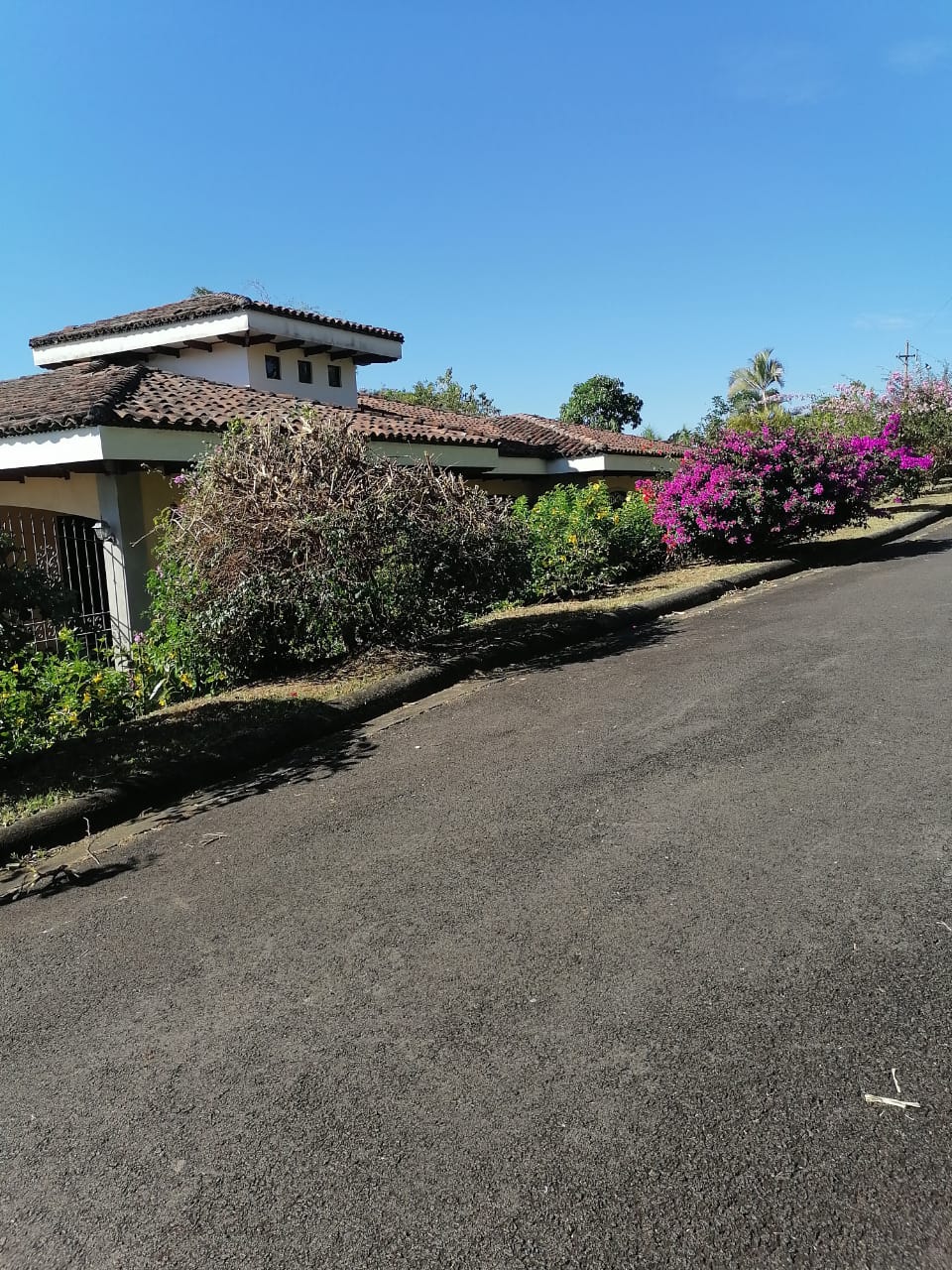 3 bed Single Family Homes For Rent in Grecia, Alajuela - thumb 2