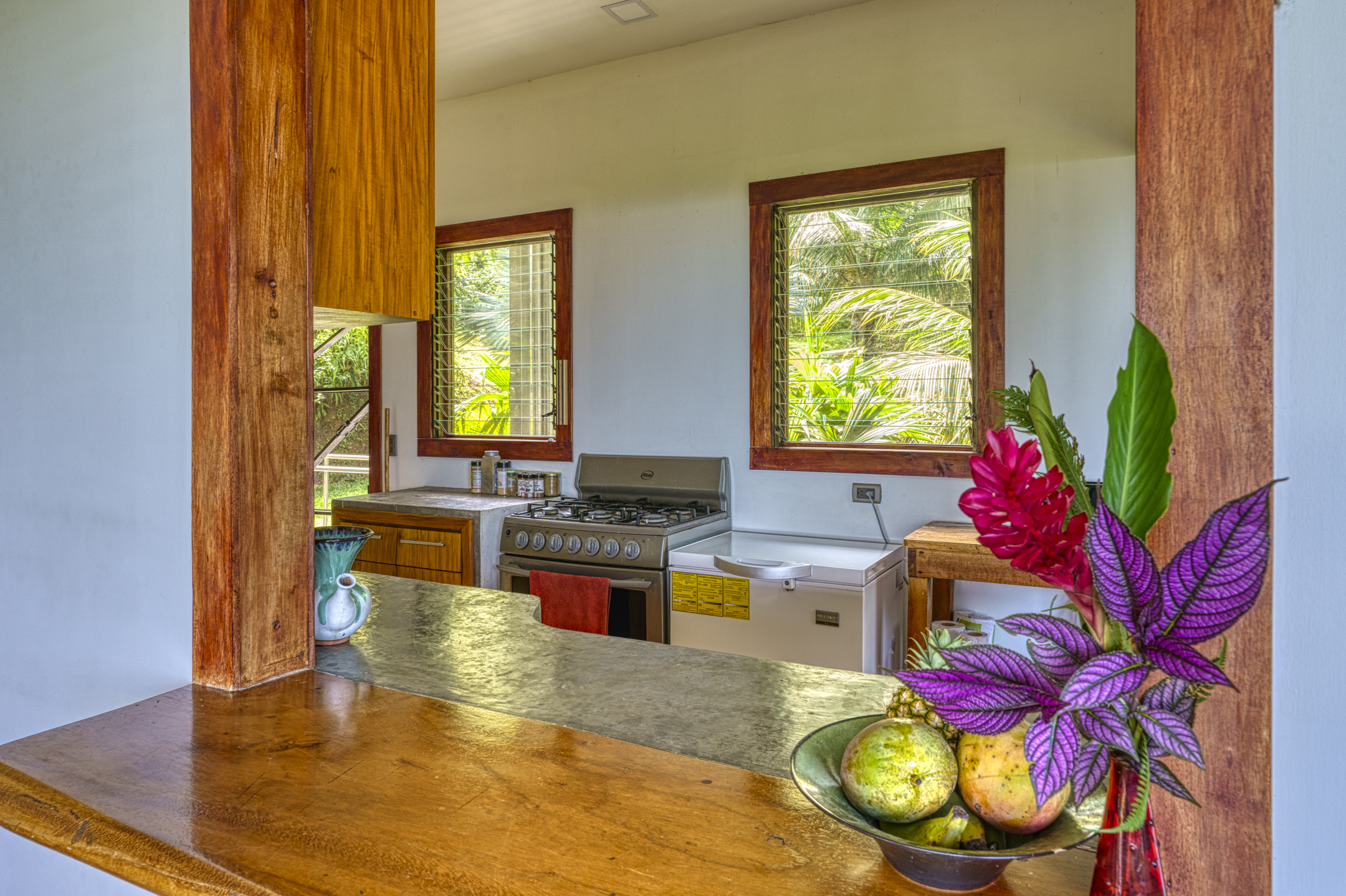 8 bed Single Family Homes For Sale in Matapalo, Puntarenas - thumb 21