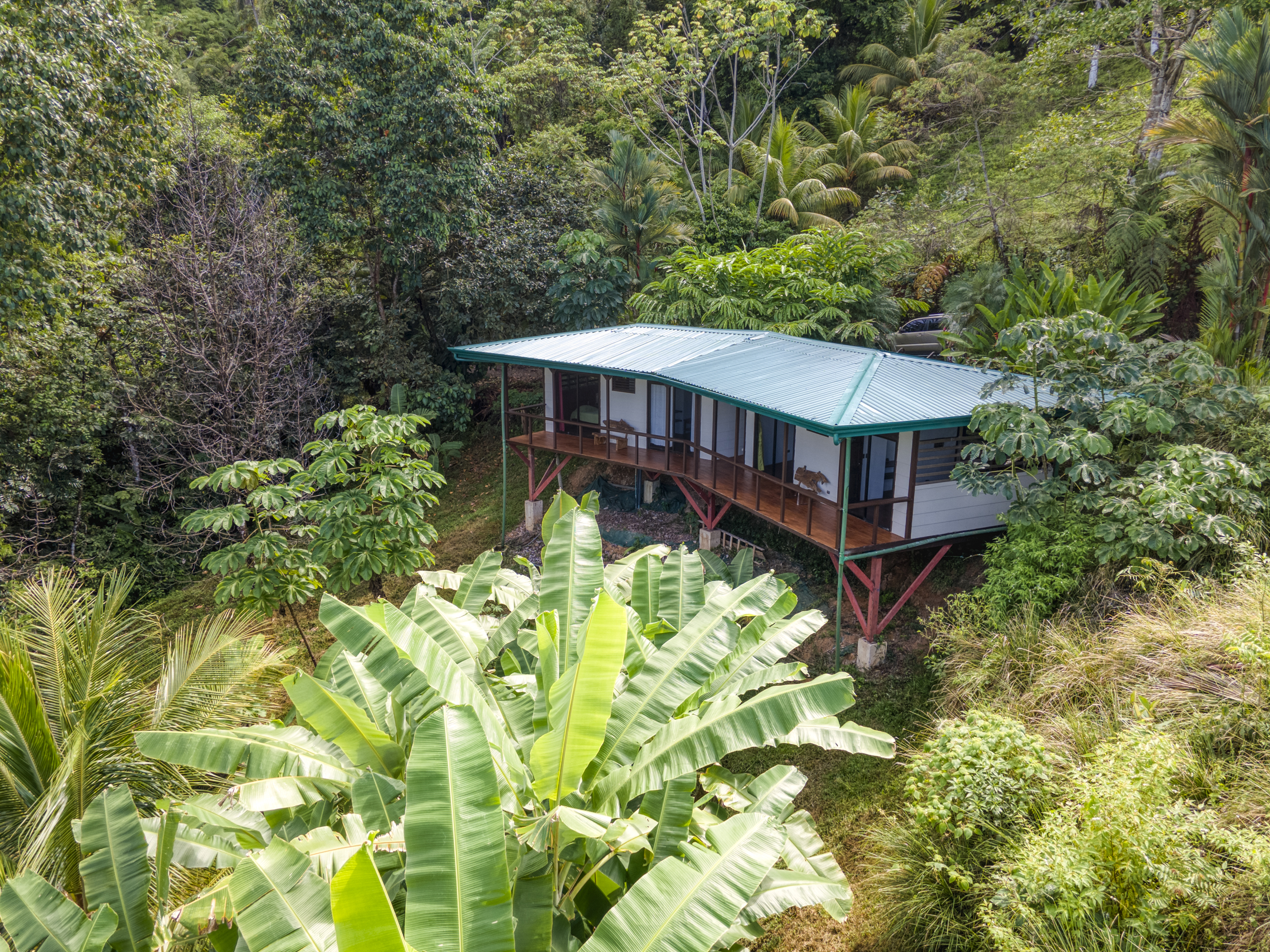 8 bed Single Family Homes For Sale in Matapalo, Puntarenas - thumb 7