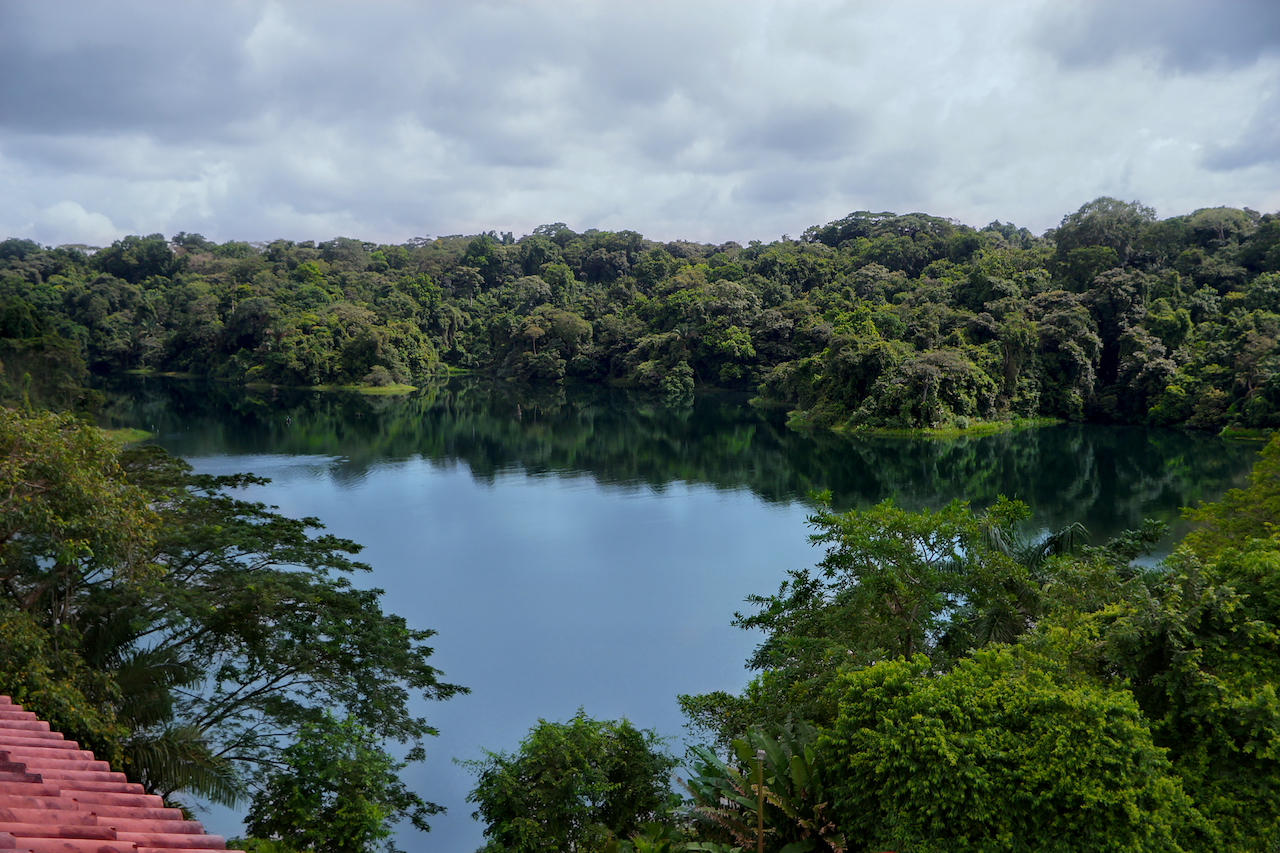 310 bed Hotel / Leisure For Sale in Colon, Panama - thumb 5