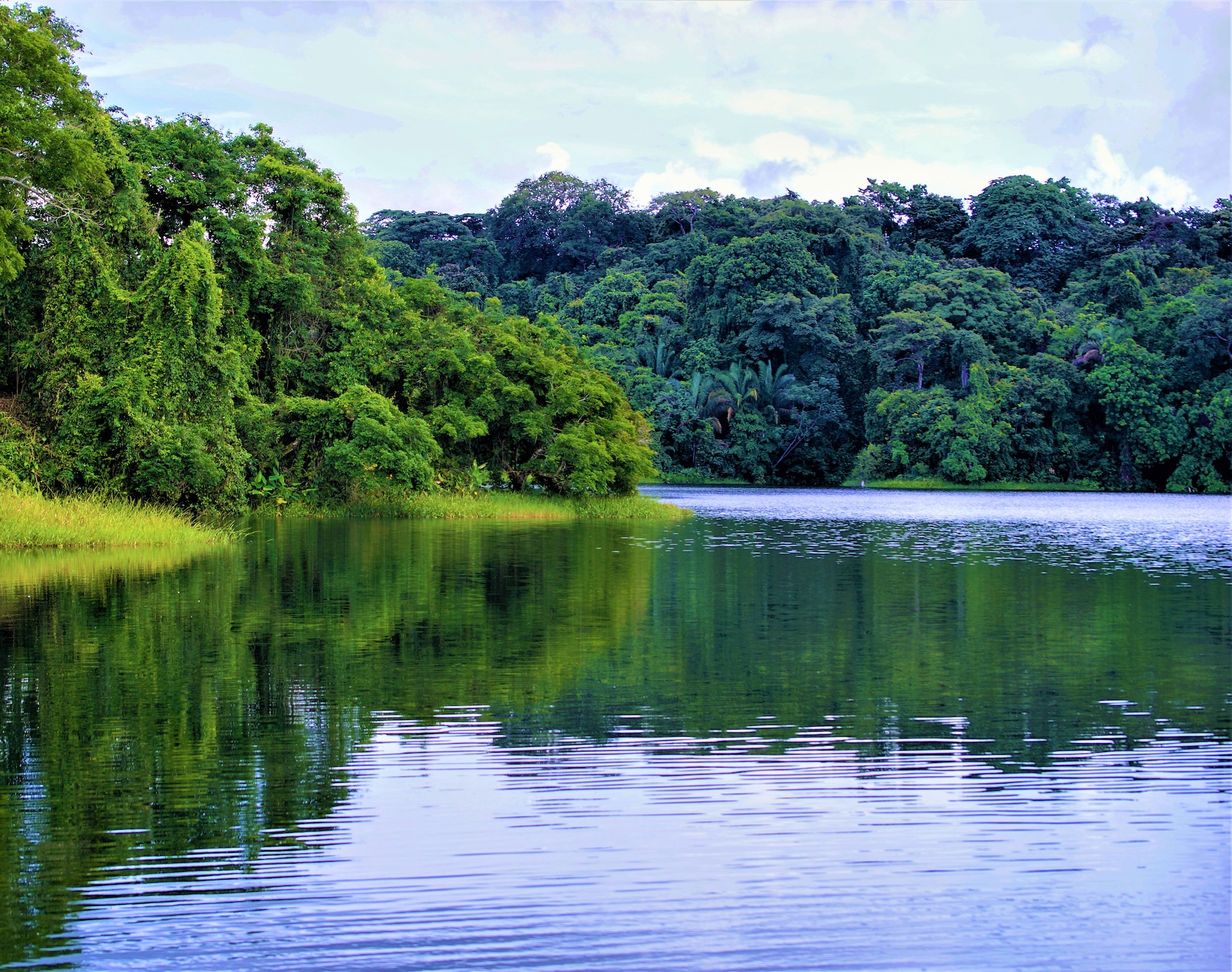 310 bed Hotel / Leisure For Sale in Colon, Panama - thumb 4