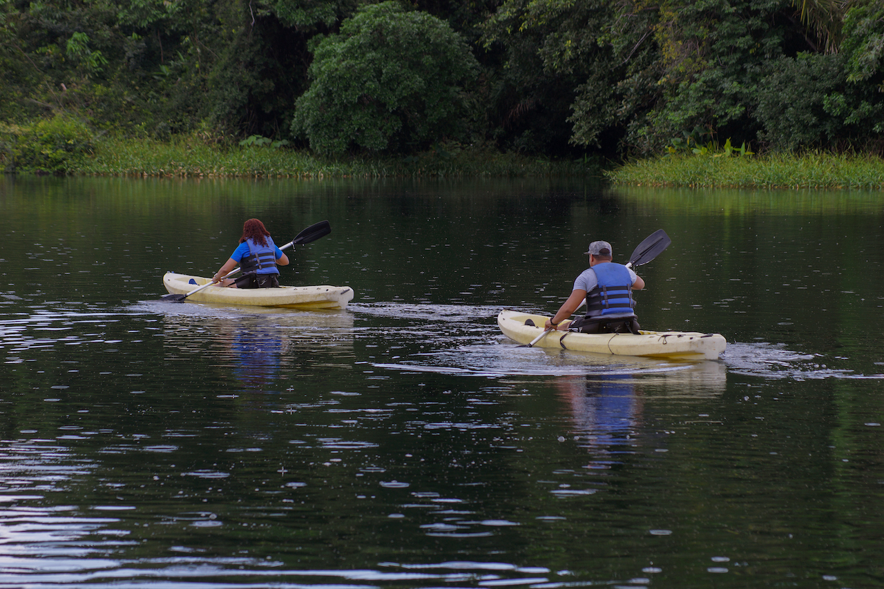 310 bed Hotel / Leisure For Sale in Colon, Panama - thumb 10