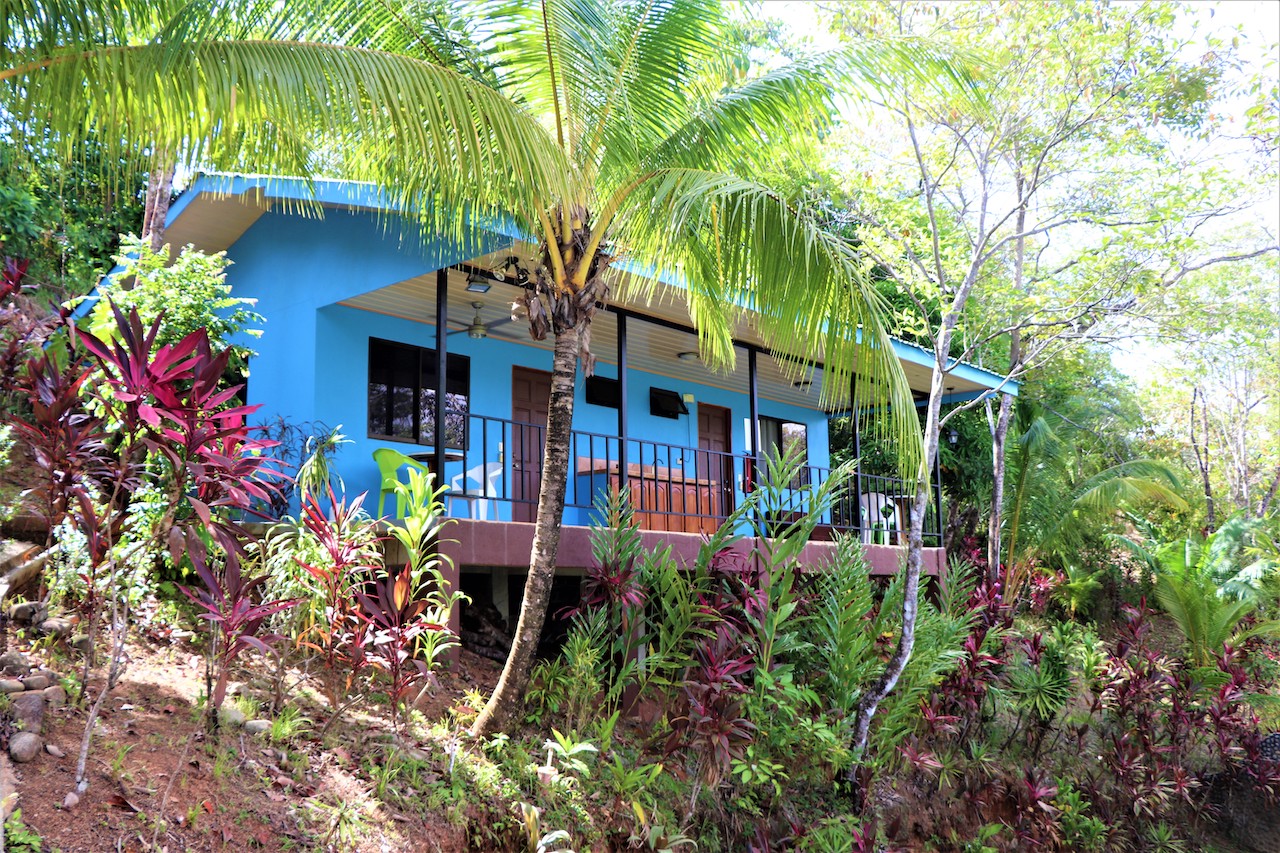 11 bed Hotel / Leisure For Sale in Ojochal, Puntarenas - thumb 14